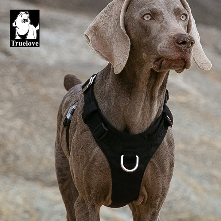 lightweight-harness-black-xl www.mallsonline.com.au