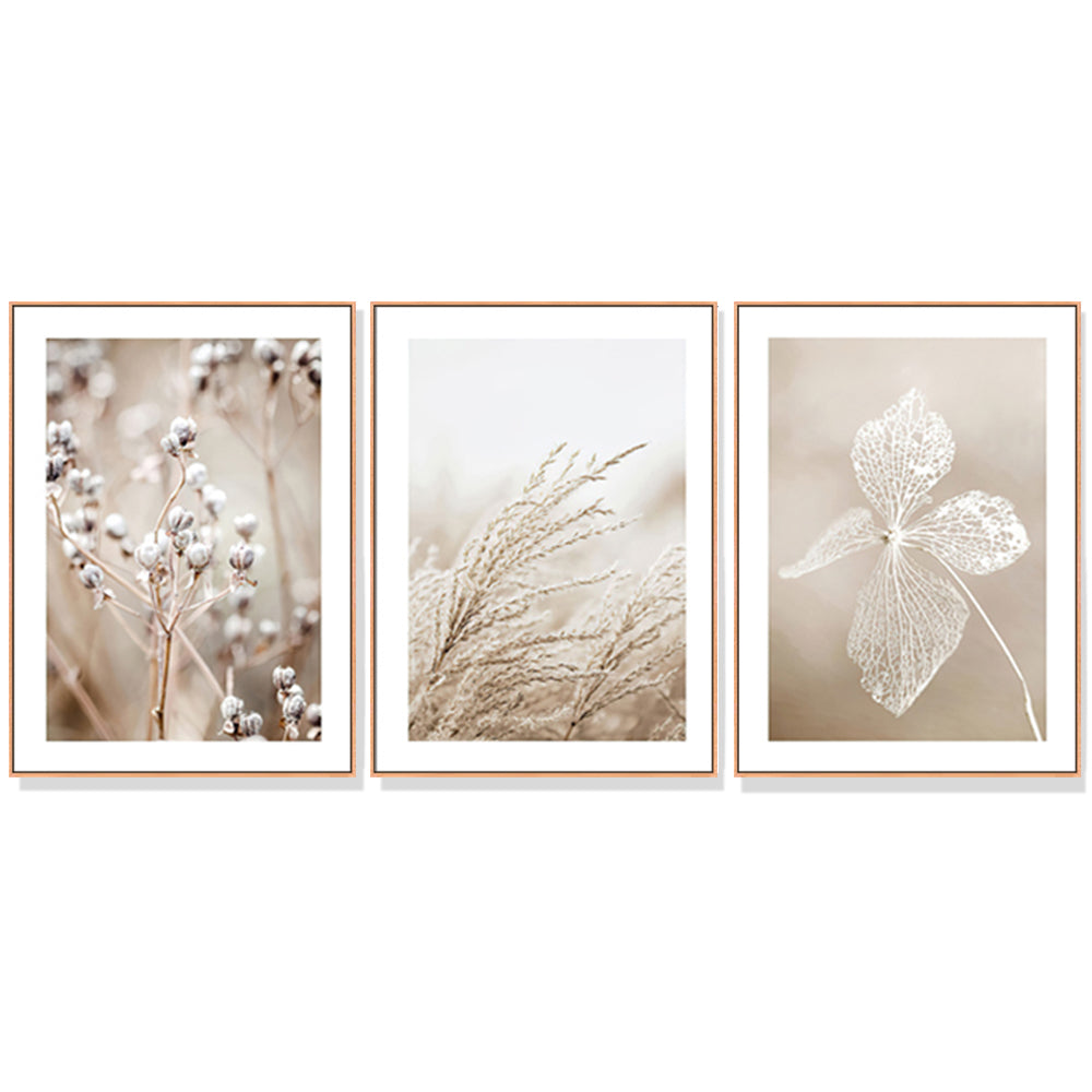 40cmx60cm-dried-flower-3-sets-wood-frame-canvas-wall-art