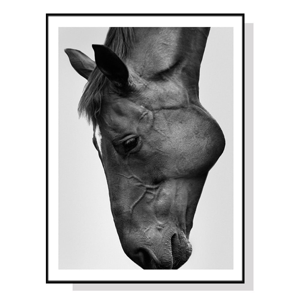 70cmx100cm-modern-black-horse-black-frame-canvas-wall-art www.mallsonline.com.au