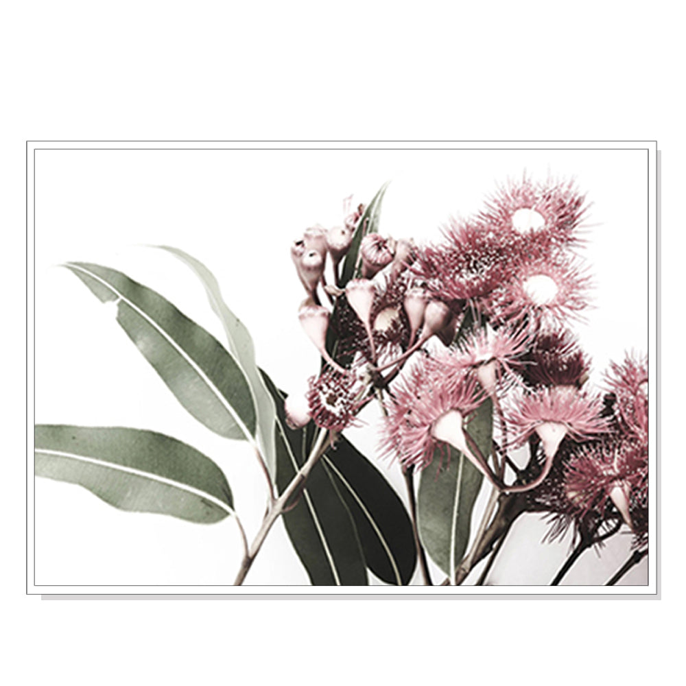 50cmx70cm-eucalyptus-in-bloom-white-frame-canvas-wall-art