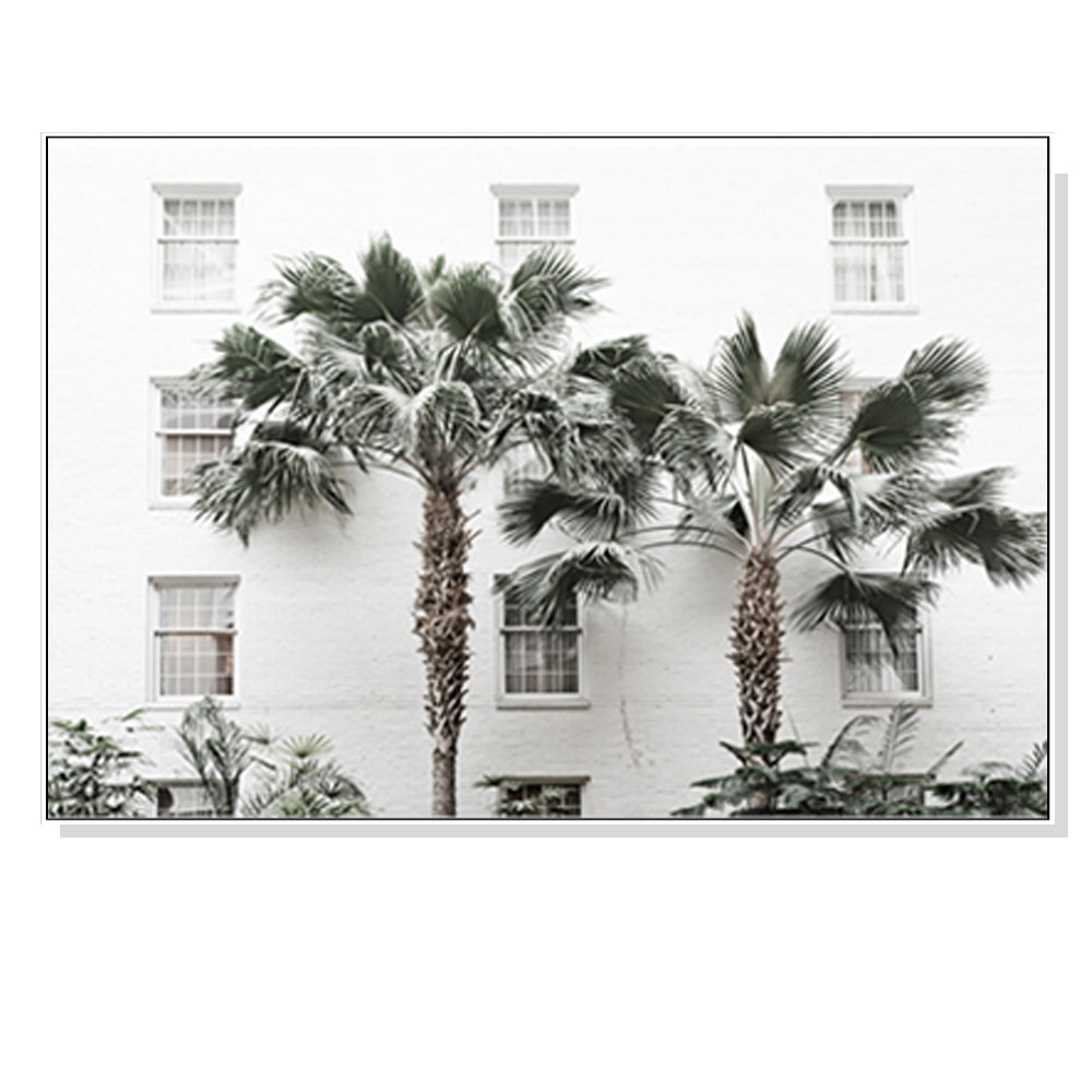 50cmx70cm-palm-tree-white-frame-canvas-wall-art at www.mallsonline.com.au