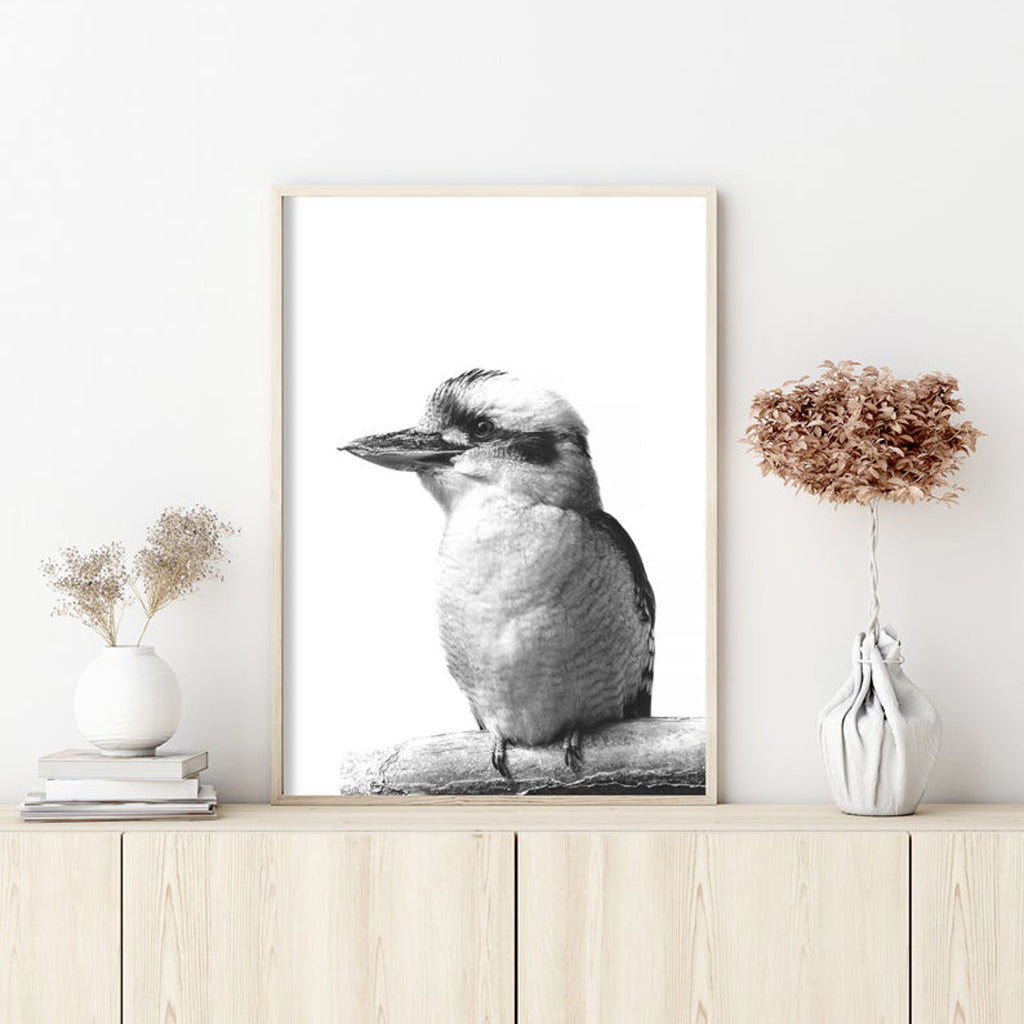 60cmx90cm-kookaburra-black-frame-canvas-wall-art www.mallsonline.com.au