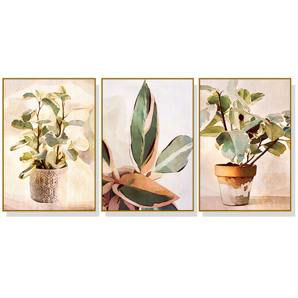 40cmx60cm-botanical-leaves-watercolor-style-3-sets-gold-frame-canvas-wall-art at www.mallsonline.com.au