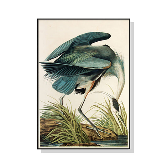 Wall Art 50cmx70cm Great Blue Heron By John James Audubon Black Frame Canvas