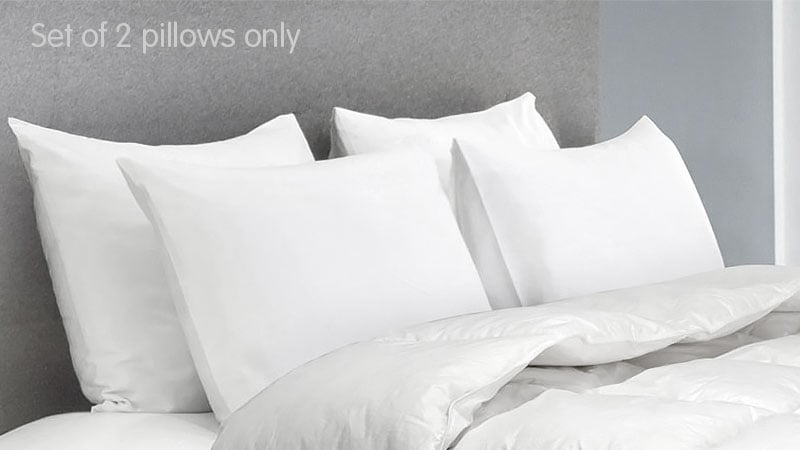 laura-hill-duck-down-feather-pillow-twin-set-1-3kg at www.mallsonline.com.au