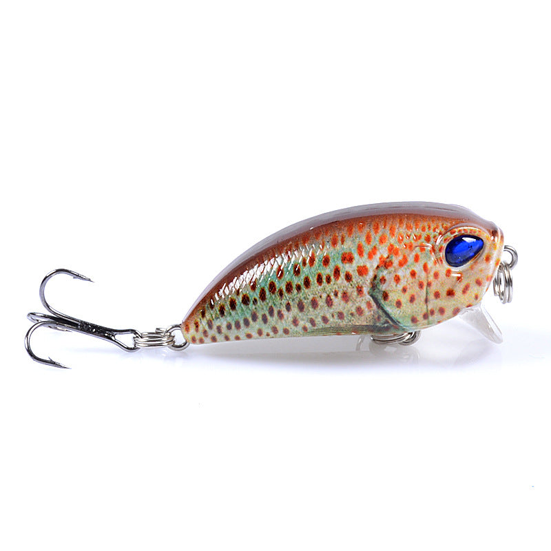6x-popper-poppers-5-1cm-fishing-lure-lures-surface-tackle-fresh-saltwater www.mallsonline.com.au